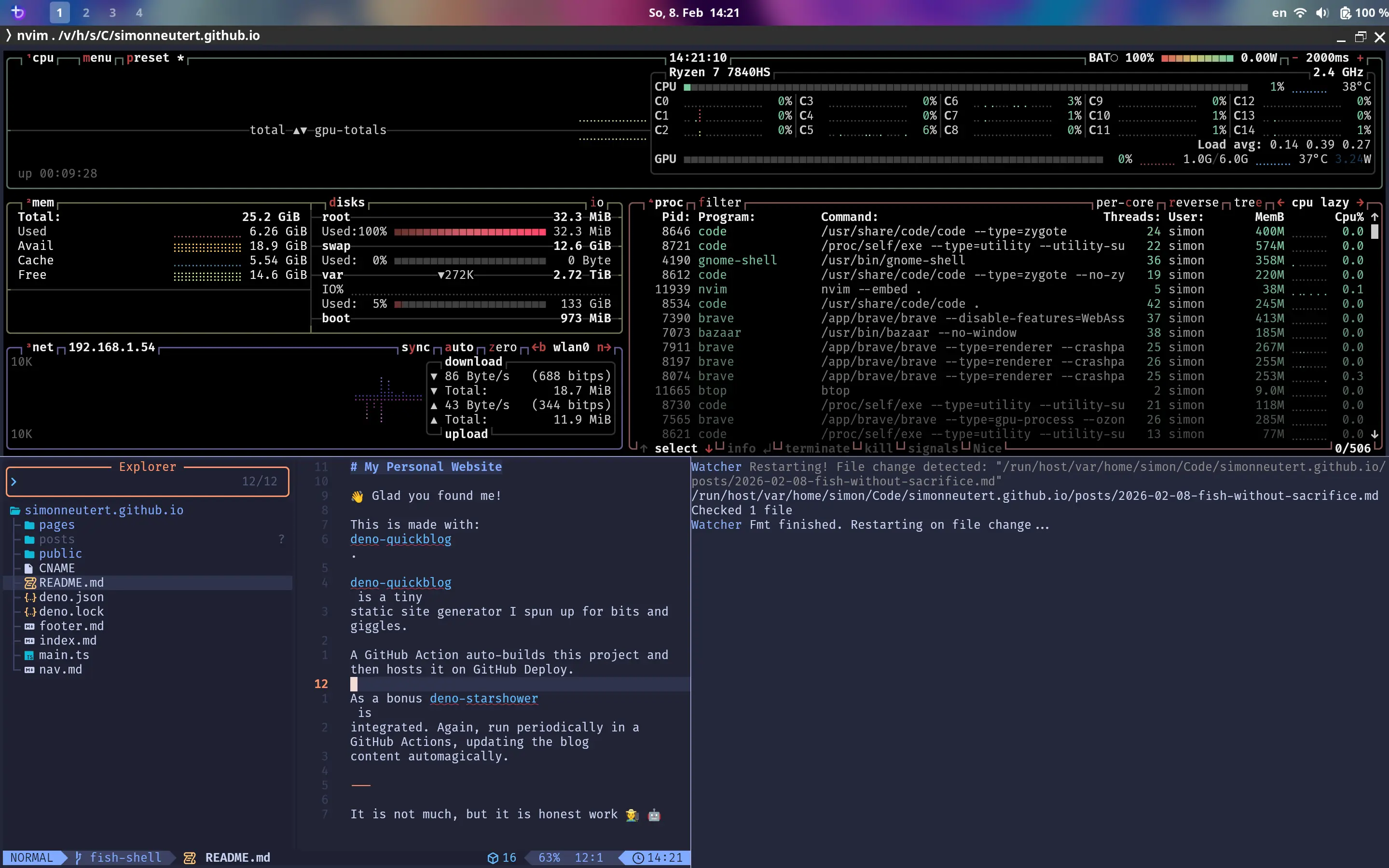kitty with fish shell